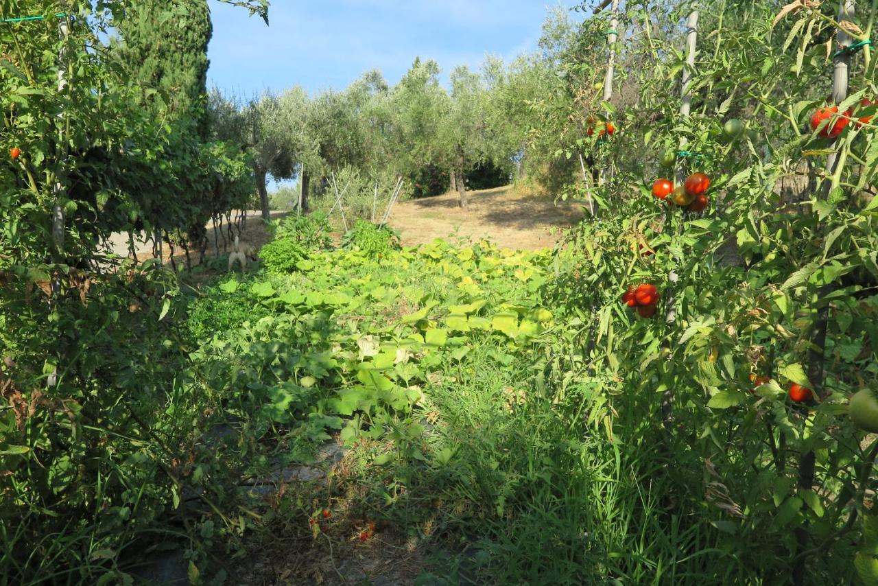 Banks 1 Villa Vezzano Ligure Kültér fotó
