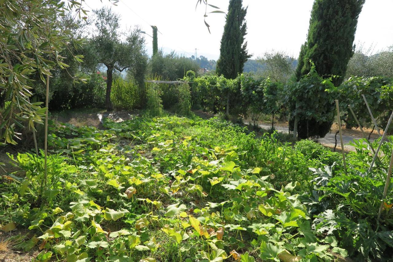 Banks 1 Villa Vezzano Ligure Kültér fotó