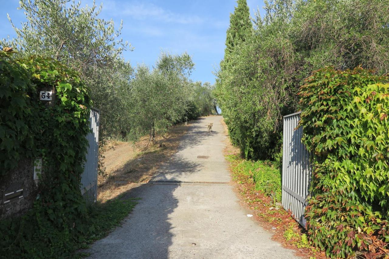 Banks 1 Villa Vezzano Ligure Kültér fotó